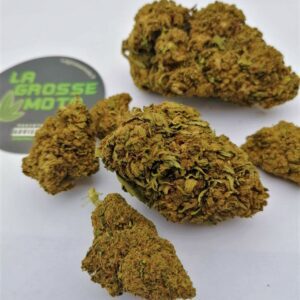 TROPICAL HAZE medium buds (commande doublée) soit 150€/200g